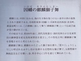 image1.jpeg